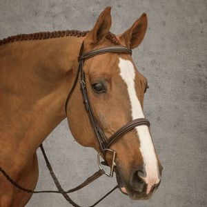 Dover Everyday Hunter Bridle - Full/Cob